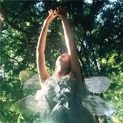 我靠充值当武帝